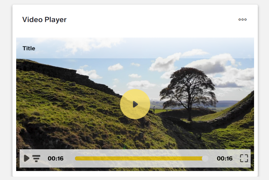 Example Video Player
